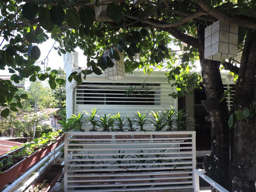 Orange Mangrove Pension House Puerto Princesa Bagian luar foto
